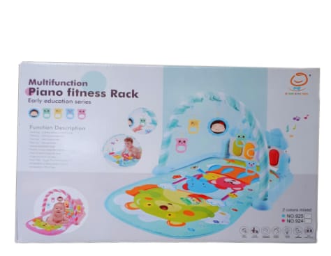 Multifunction Piano Fitness Rack924
